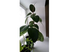20150322_163640.jpg