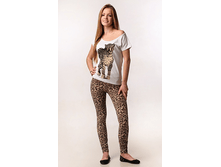 �������� 300�, �������� 260�