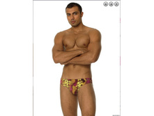 ������ ������� MP1007 Pulsar.jpg