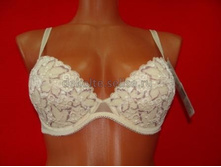 ���� ���������� �������