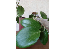 ���� Sp.PNG.sv.439