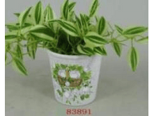 ������ ����