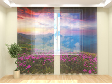 ����� � �����.jpg