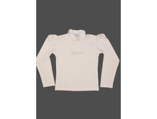 D064-31, 300���.