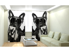 ������� �������.jpg