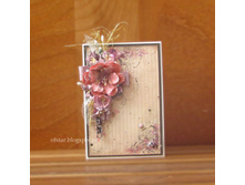 ����, ����� � ���������� ���������