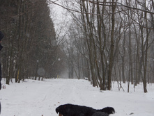 DSC02602.JPG