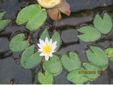 7 ����� 2015 ���� � ������ ���������, ����� �����! :-)