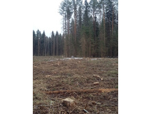 20150321_172354.jpg