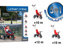 ��������� 3-� �������� Molto ������� 12210 ���� 3684 ���.jpg