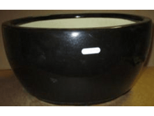 ����� Duetto Bloom Nero 42 ��  1542,66 ���. , �.42 ��,  �. 42��,  �.  ��