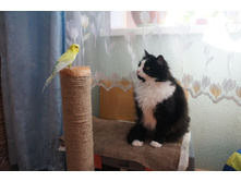 DSC06213.JPG