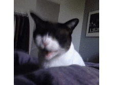 ������� ��������� - ����� �����!