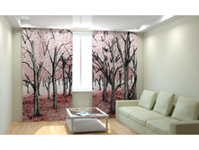 �������� ���.jpg