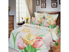 �������� ������.jpg