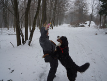 DSC02648.JPG
