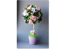 �������� �������� - �������