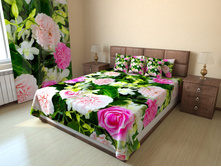 �������� � ����.jpg