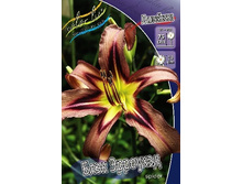 ���� ��������(���)