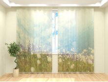 ������ �����.jpg