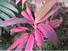 ���� 192.jpg