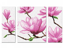 ����	1738	���.