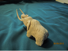 ������ (2).JPG