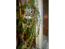 �������� ��������