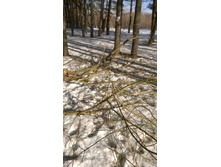 �������� 033.jpg