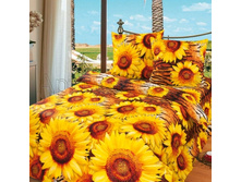 ������ ����.jpg