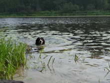 DSC01218.JPG