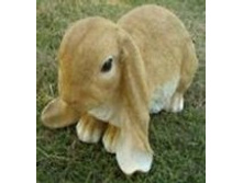 ������� ������� ������.jpg