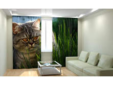 ��� � �����.jpg