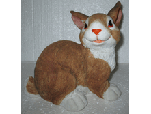 ������� ������  200 ���.