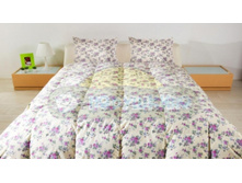 ��������� ������ �������