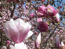 �������� � ���� �����