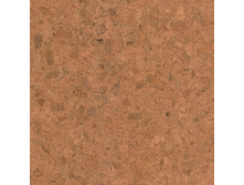 GRANORTE Emotions Champagner (�������).jpg