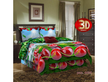 ���� ���� - 4435.jpg