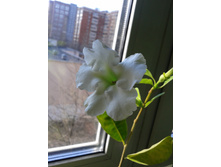 ����-0130.jpg