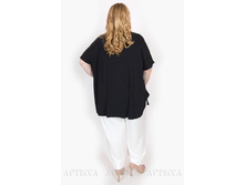 ������ V006.3 +.jpg