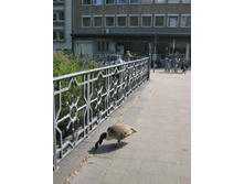 ������ 063.jpg