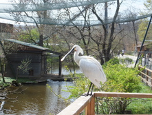 ������ �� ��������� �������� �����������