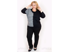 ������ V338.2