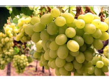 ����-���� (��-�� ��-��). 265 ���.��������������� �� ����� 21-23. � �������� ��������������� ����.jpg