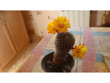 ������������� ����� -������ ( N101)