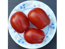 ���������� (���� �� �������� �������!)