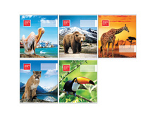 ������� 18�. ������ ������������ �������, ���������� ��-��� 10,51.jpg