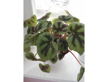 20150429_154131.jpg