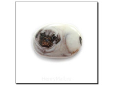 ������ ����� ��� - 105 ������