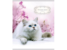 ������� 96�. �5 ������ �������. ����� ������. Romantic season, ���������  26,59.jpg